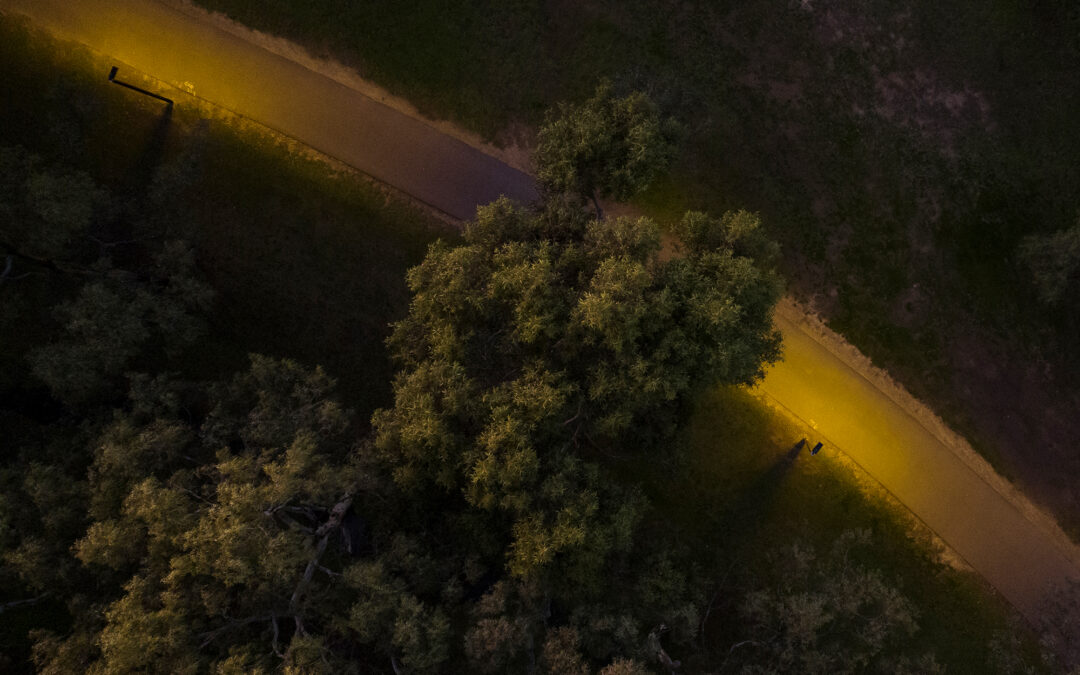 Lighting for life: What happened when we put wildlife sensitive lighting to the test?